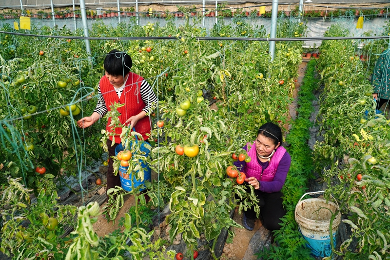 玉兔辞旧岁 金龙启新程——除夕贺新春(图4)