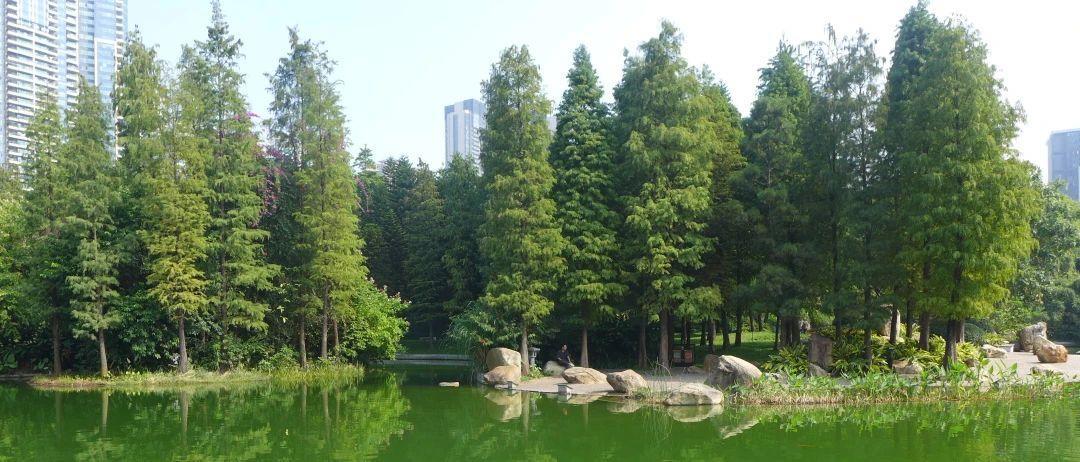 广州珠江公园：公园变家园全力打造城市文化新地标(图6)