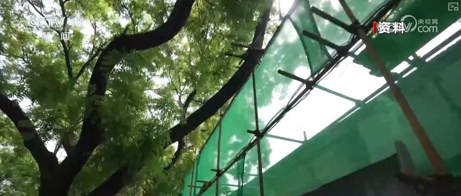 古建焕发华彩 北京中轴线是古都保护与可持续发展的中国案例(图18)